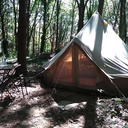 Associacao Quinta Relvas Farm stay *