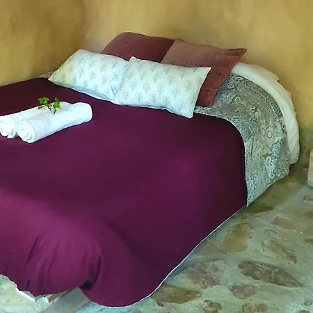 Associacao Quinta Relvas Farm stay *