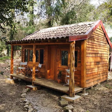 Farm stay Associacao Quinta Relvas *