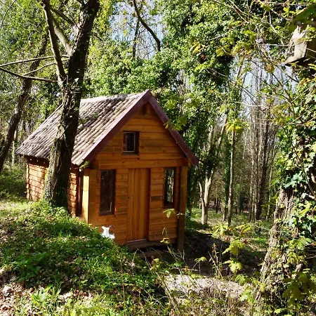 Associacao Quinta Relvas Farm stay *