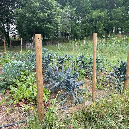 Bauernhof Associacao Quinta Relvas *