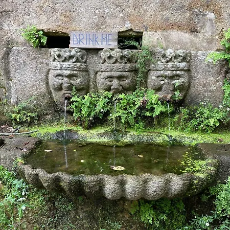 Associacao Quinta Relvas *