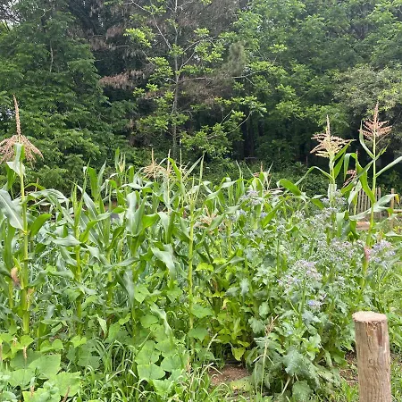 Bauernhof Associacao Quinta Relvas Branca