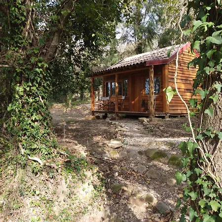 Associacao Quinta Relvas Farm stay Branca