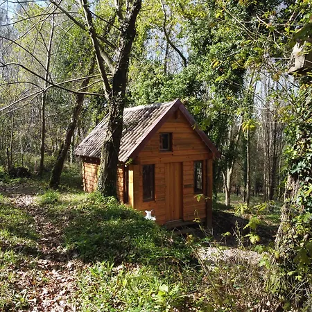 Farm stay Associacao Quinta Relvas *