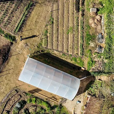 Associacao Quinta Relvas * Branca