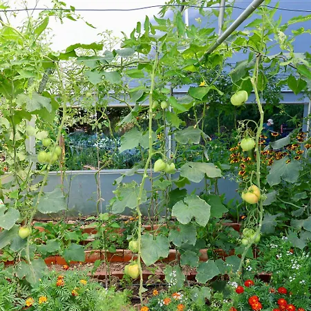 Associacao Quinta Relvas * Branca