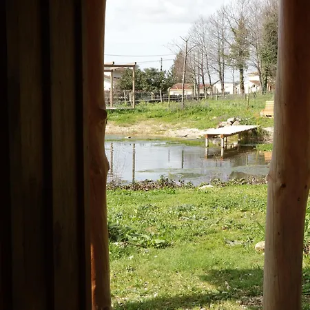 Associacao Quinta Relvas Farm stay *