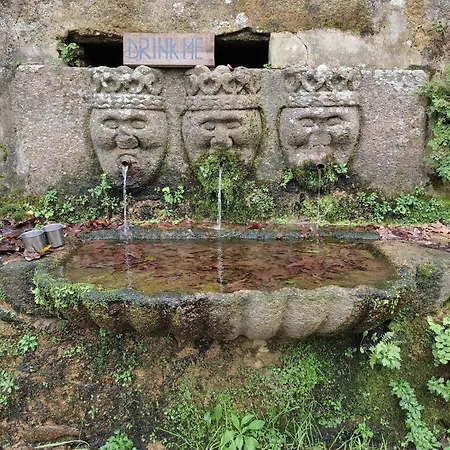 Associacao Quinta Relvas *