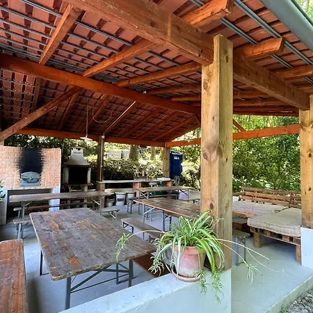 Séjour à la ferme Associacao Quinta Relvas Branca
