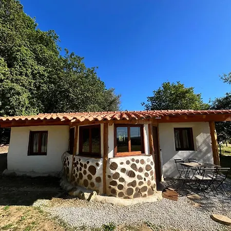 Associacao Quinta Relvas ファームステイ *