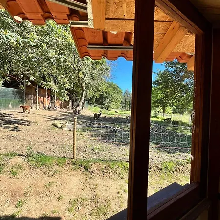 Associacao Quinta Relvas Farm stay