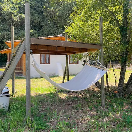 Vakantieboerderij Associacao Quinta Relvas *