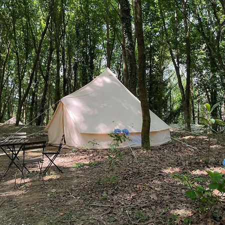 Alojamento de Turismo Rural Associacao Quinta Relvas *