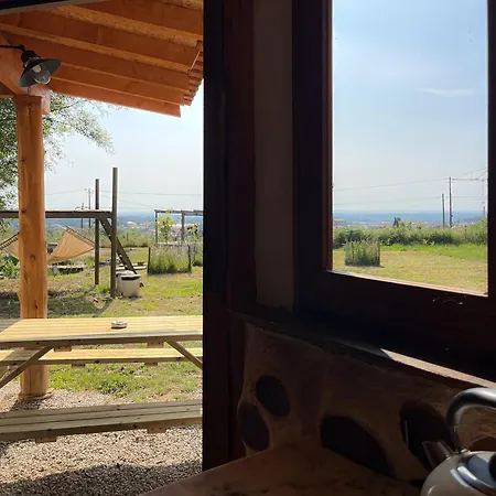 Associacao Quinta Relvas *