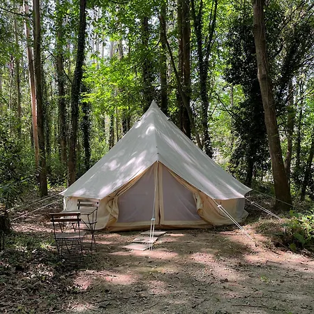 Associacao Quinta Relvas