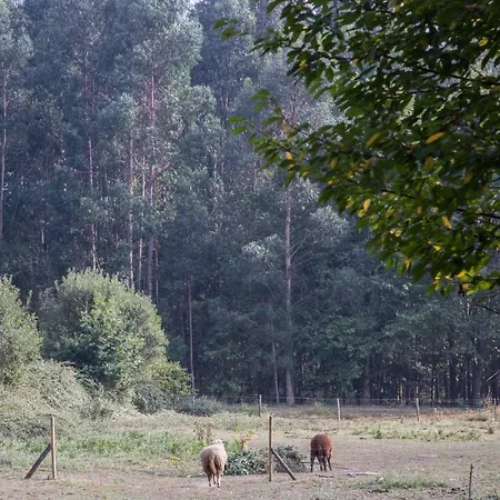 Associacao Quinta Relvas