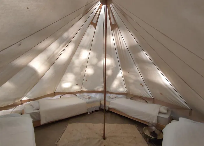 Associacao Quinta Relvas Фермерский дом Branca