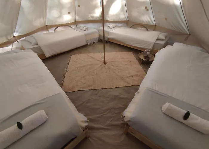 Associacao Quinta Relvas