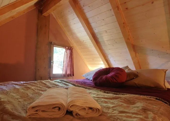 Associacao Quinta Relvas