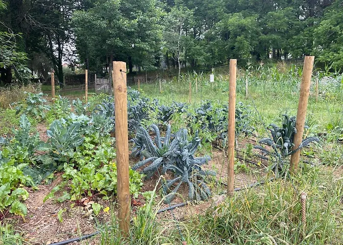 Фермерский дом Associacao Quinta Relvas *