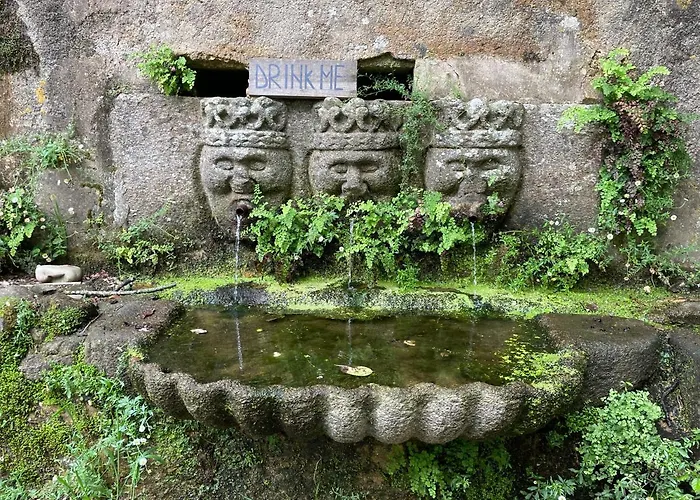 Associacao Quinta Relvas *