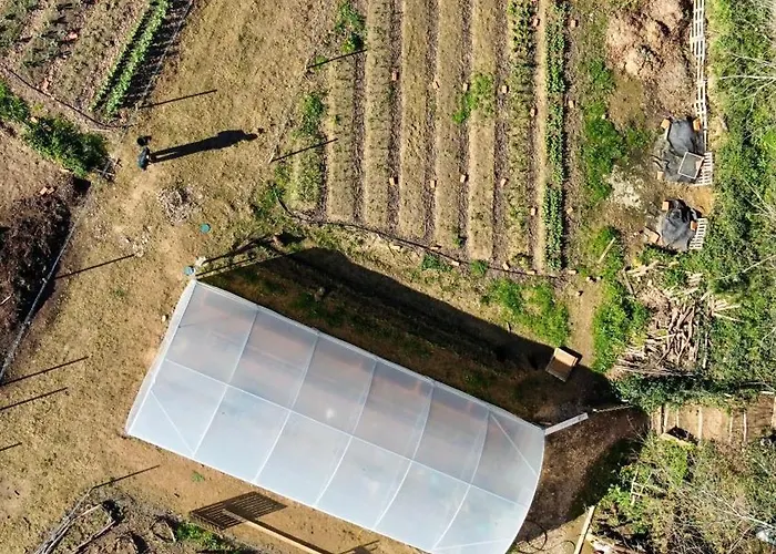 Associacao Quinta Relvas * Branca