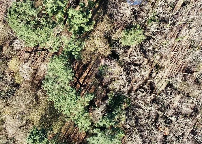 Associacao Quinta Relvas Branca