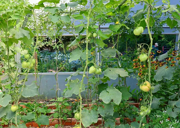 Associacao Quinta Relvas * Branca