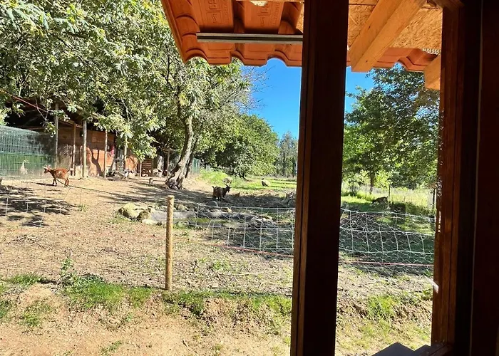 Associacao Quinta Relvas Фермерский дом