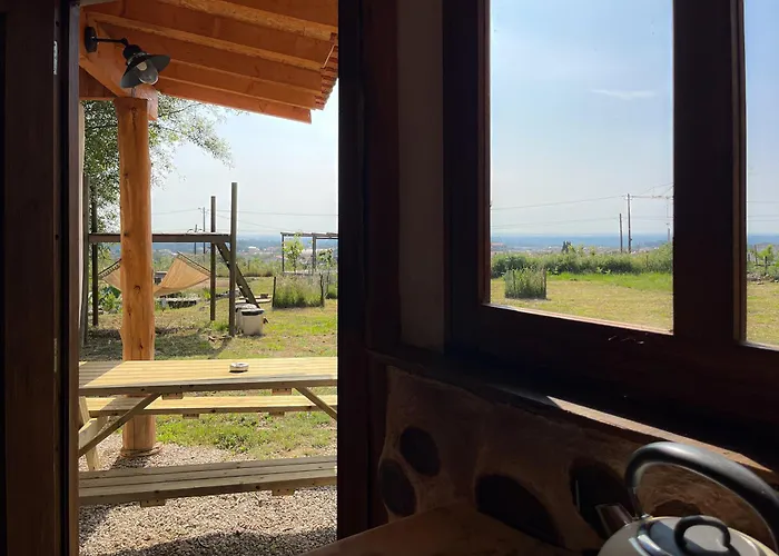 Associacao Quinta Relvas *