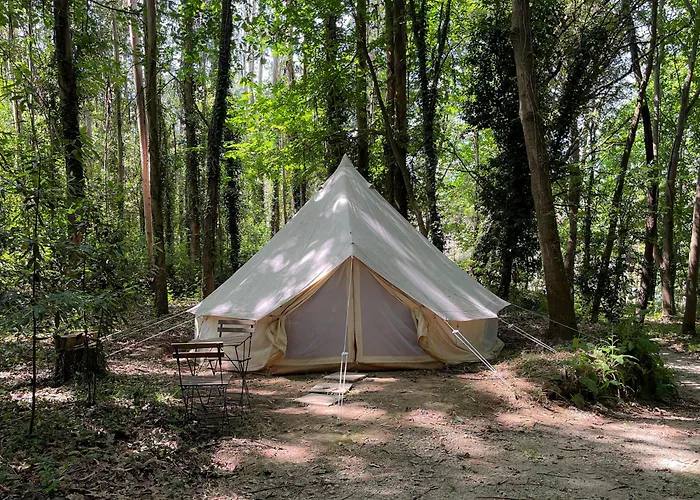 Associacao Quinta Relvas