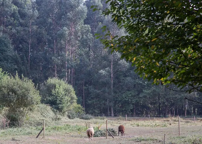 Associacao Quinta Relvas